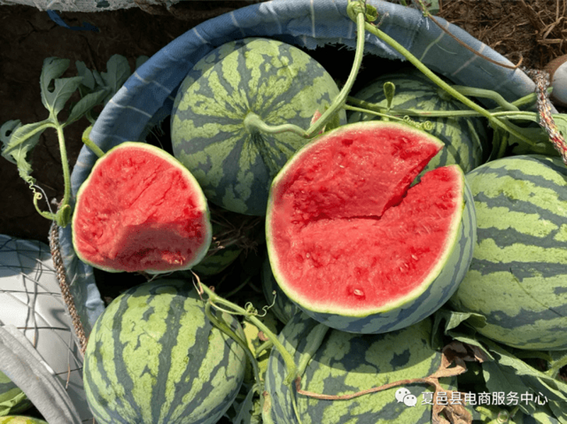 淘宝代运营行业动态：助力中小企业电商腾飞